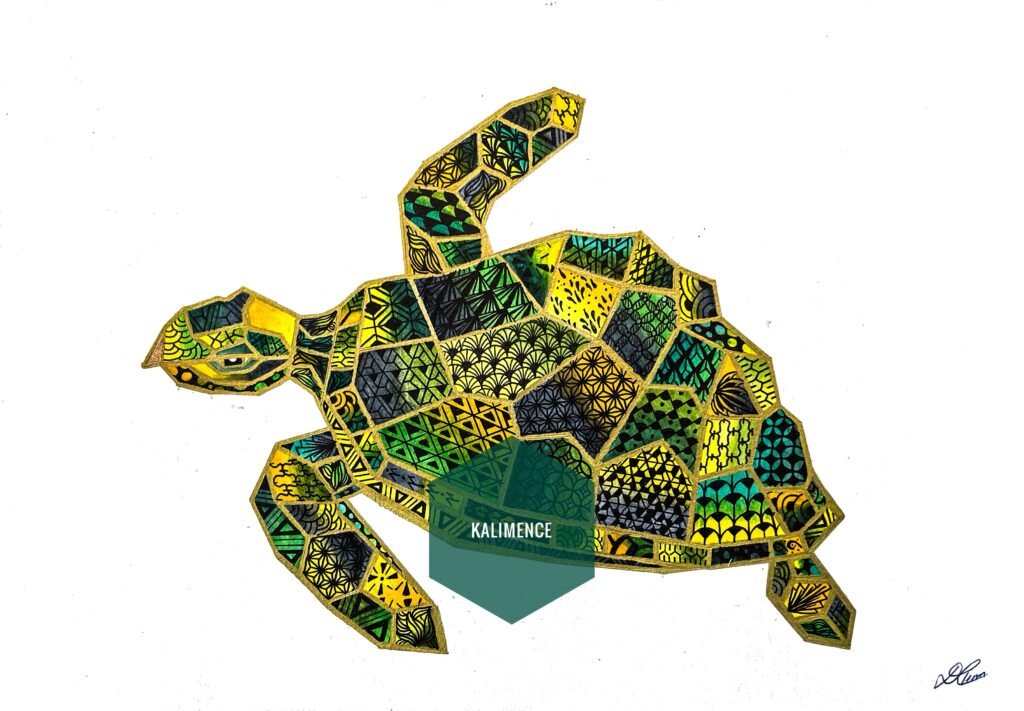 tortue, vert, jaune, motifs, bleu, géométrique, dessin
